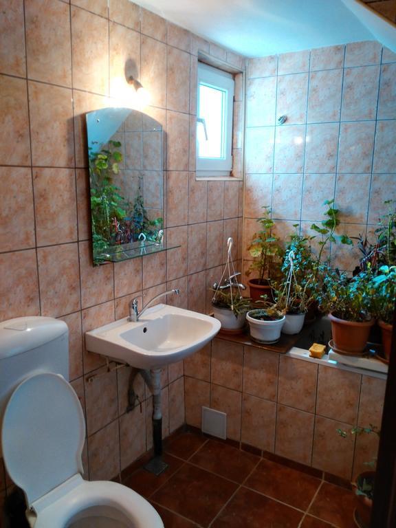 Vila Marcela Буштени Номер фото