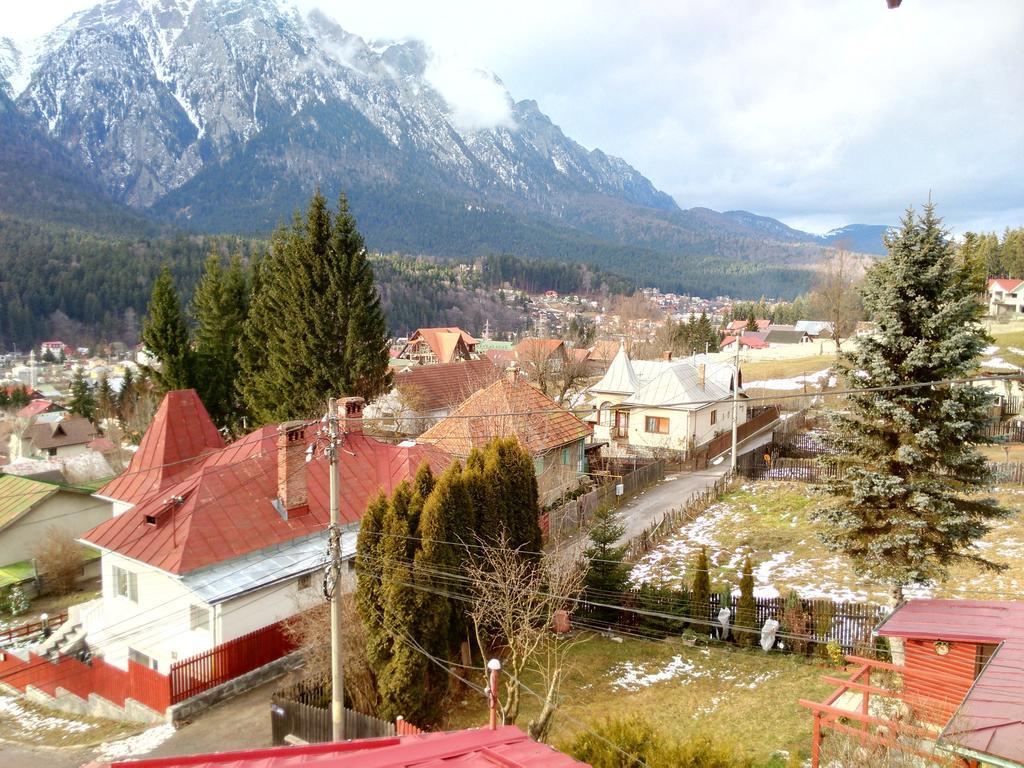 Vila Marcela Буштени Номер фото