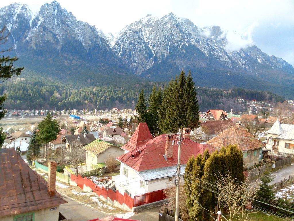 Vila Marcela Буштени Номер фото