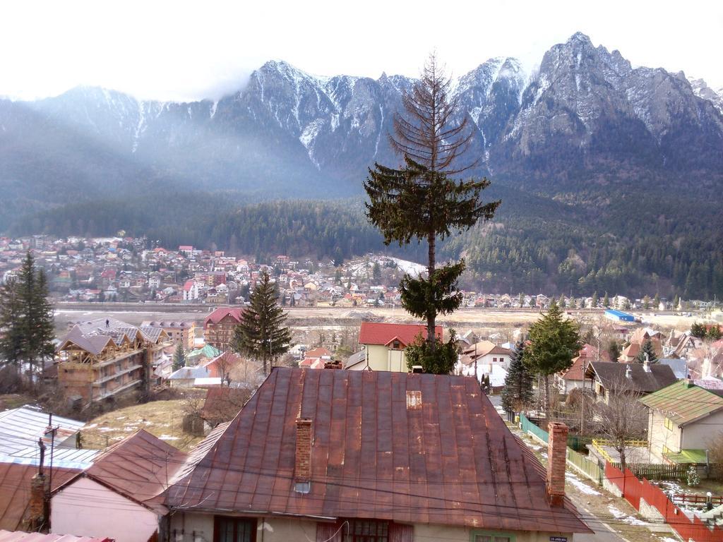 Vila Marcela Буштени Номер фото