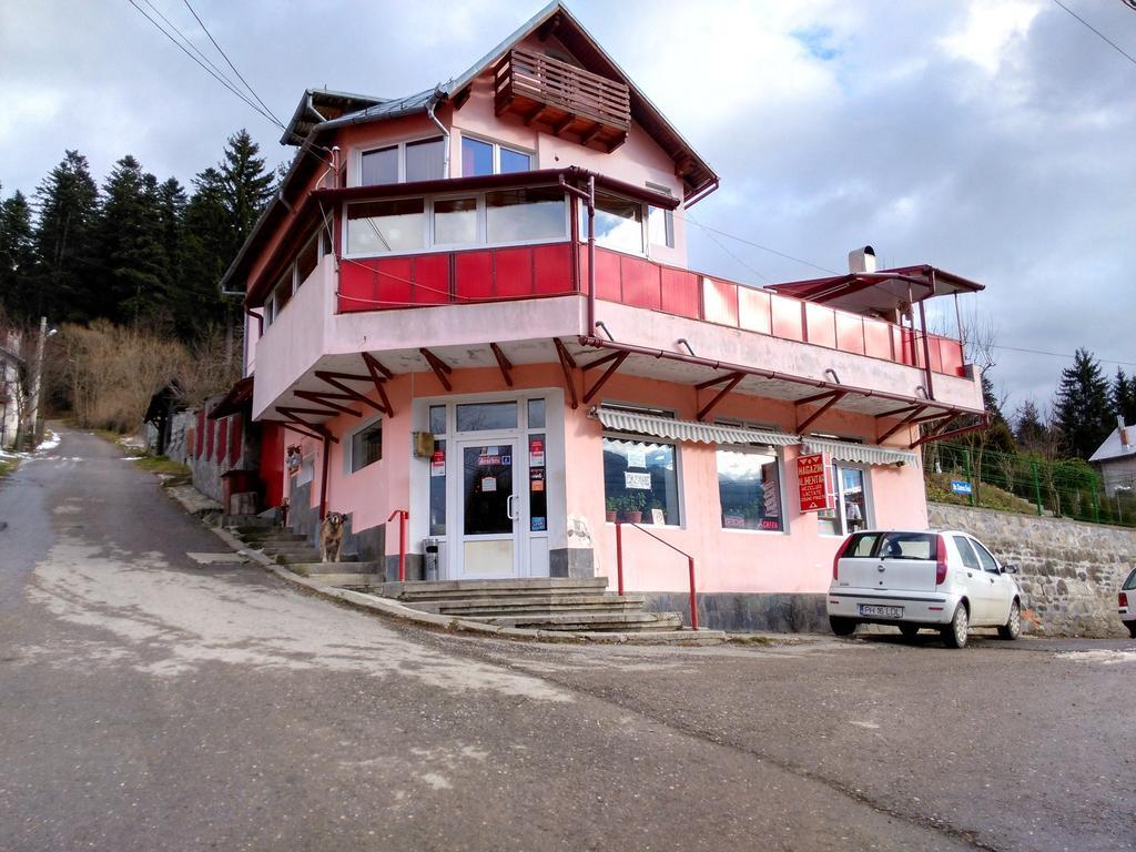 Vila Marcela Буштени Экстерьер фото