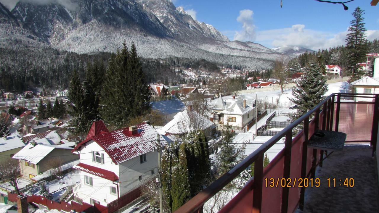 Vila Marcela Буштени Экстерьер фото